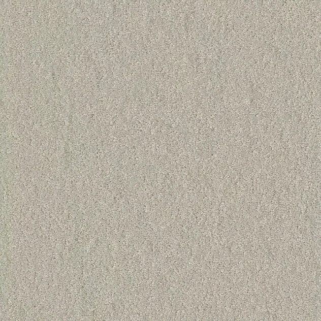 Prémium öntapadós moduláris szőnyeg Chiffon Pearl MO 25x100 cm