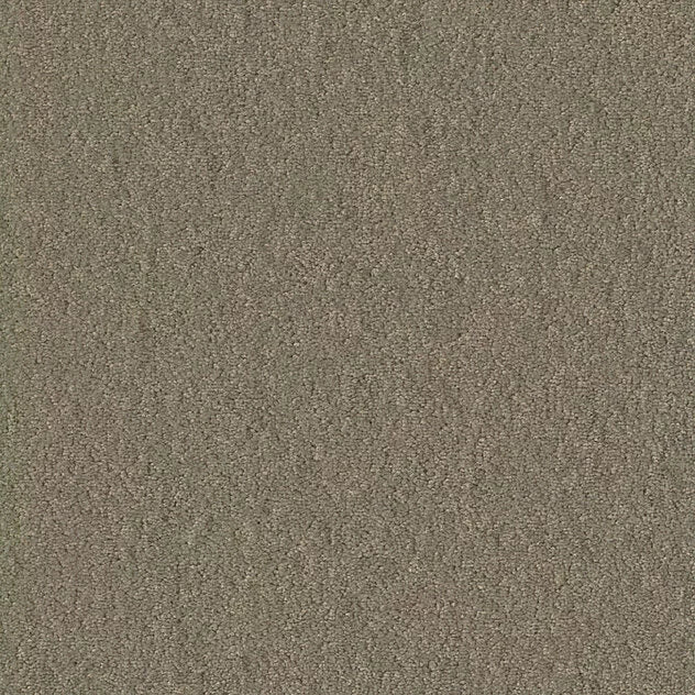 Prémium öntapadós moduláris szőnyeg Chiffon Pearl MO 25x100 cm