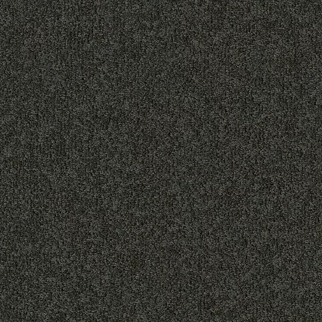 Prémium öntapadós moduláris szőnyeg Chiffon Pearl MO 25x100 cm